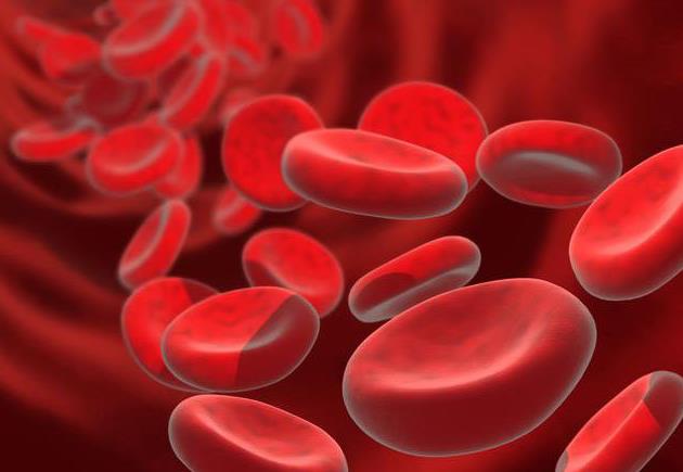 负离子改善了红细胞的分散态，使血粘度降低