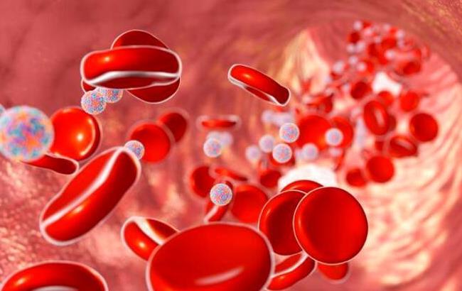 负离子还可使红细胞、血红蛋白及血小板等增加